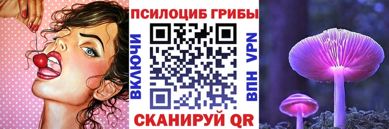 Псилоцибиновые грибы прущие грибы  где купить наркоту  Задонск 